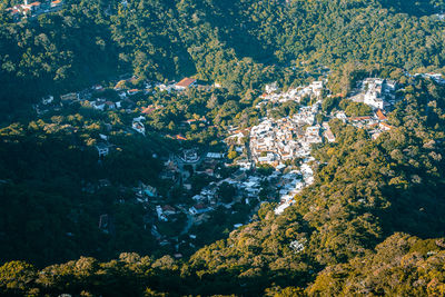 Aerial view of town in forest