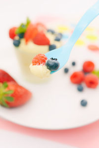 Close-up of served food in plate