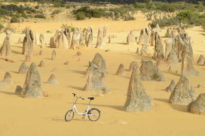 Panoramic view of desert