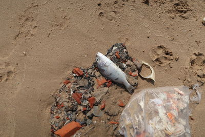 High angle view of garbage on sand