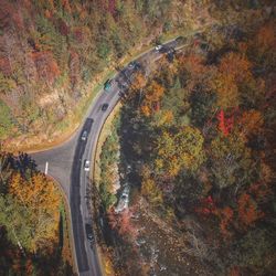 High angle view of road amidst trees in forest during autumn