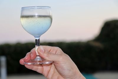 Close-up of hand holding glass of wineglass