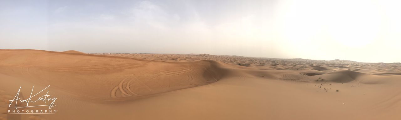 PANORAMIC VIEW OF DESERT