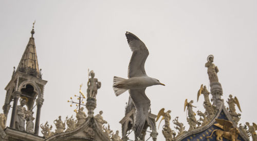 Low angle view of statue