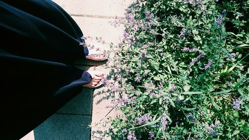 Cropped image of woman holding plant