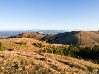 Scenic view of field against clear sky