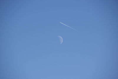 Low angle view of half moon in blue sky
