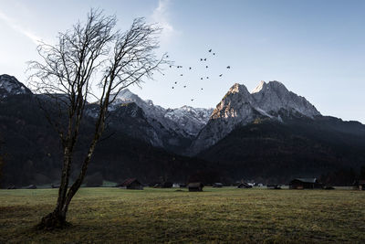 Scenic view of field and mountains against sky at garmisch partenkirchen in the german alps