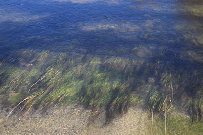 Full frame shot of sea