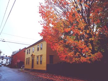 Trees in front of building