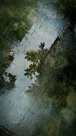 High angle view of wet puddle on street