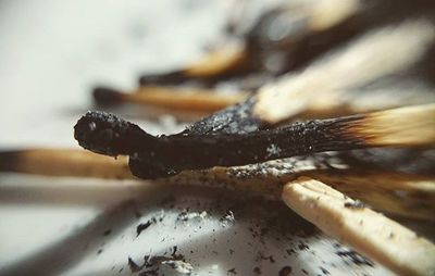 Close up of wood
