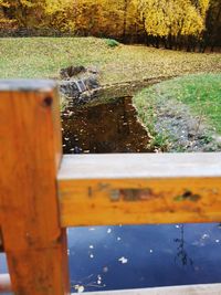 View of bird on wood against lake