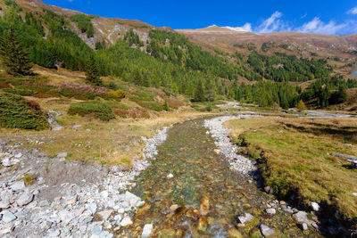 The upper course of the mur river in austrian alps