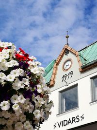 Low angle view of flowers against building