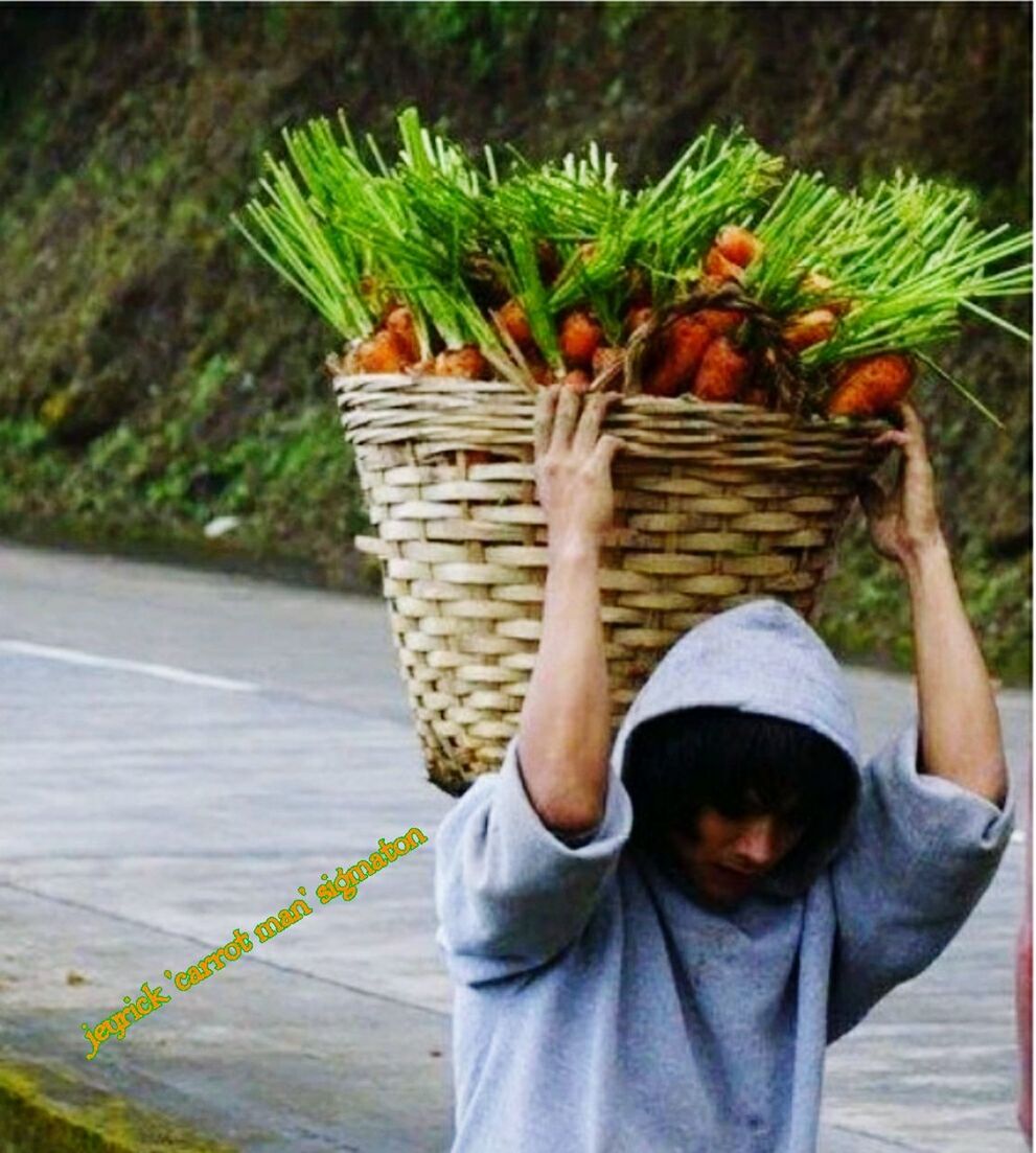 lifestyles, holding, leisure activity, person, focus on foreground, leaf, outdoors, growth, tree, standing, plant, fruit, casual clothing, day, part of, nature