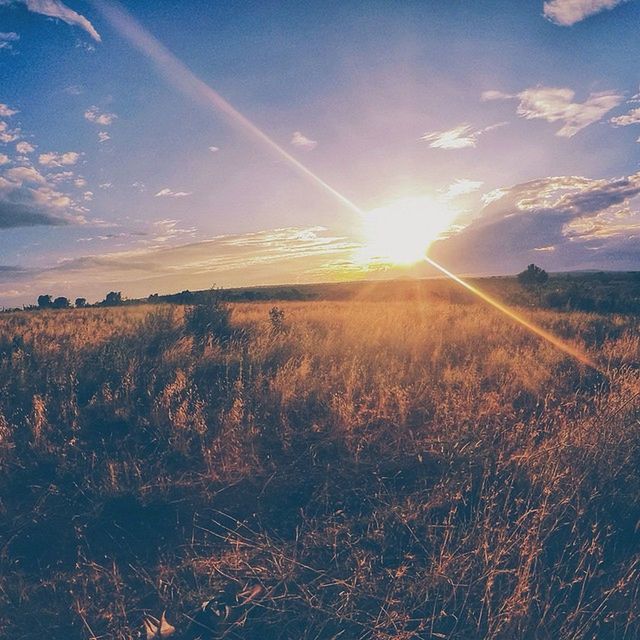 landscape, tranquil scene, tranquility, sun, scenics, sky, beauty in nature, sunlight, nature, sunset, sunbeam, field, idyllic, non-urban scene, cloud - sky, lens flare, horizon over land, outdoors, remote, no people