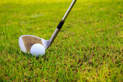 Close-up of golf ball on field