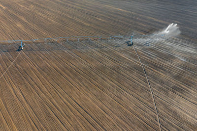 High angle view of bird flying