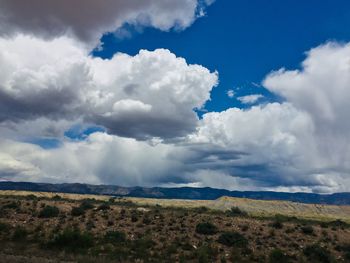 Scenic view of field against sky