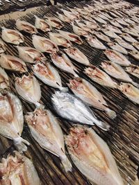 High angle view of fish for sale