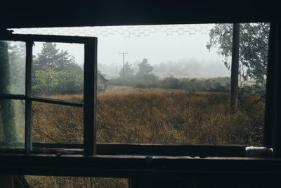 Trees on countryside landscape seen through window