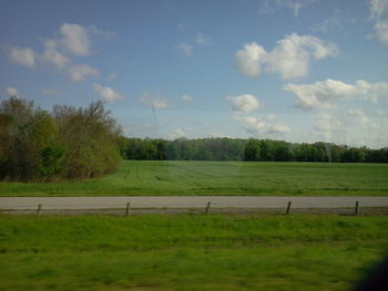 Scenic view of grassy field against sky