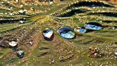 Full frame shot of water drops on beach