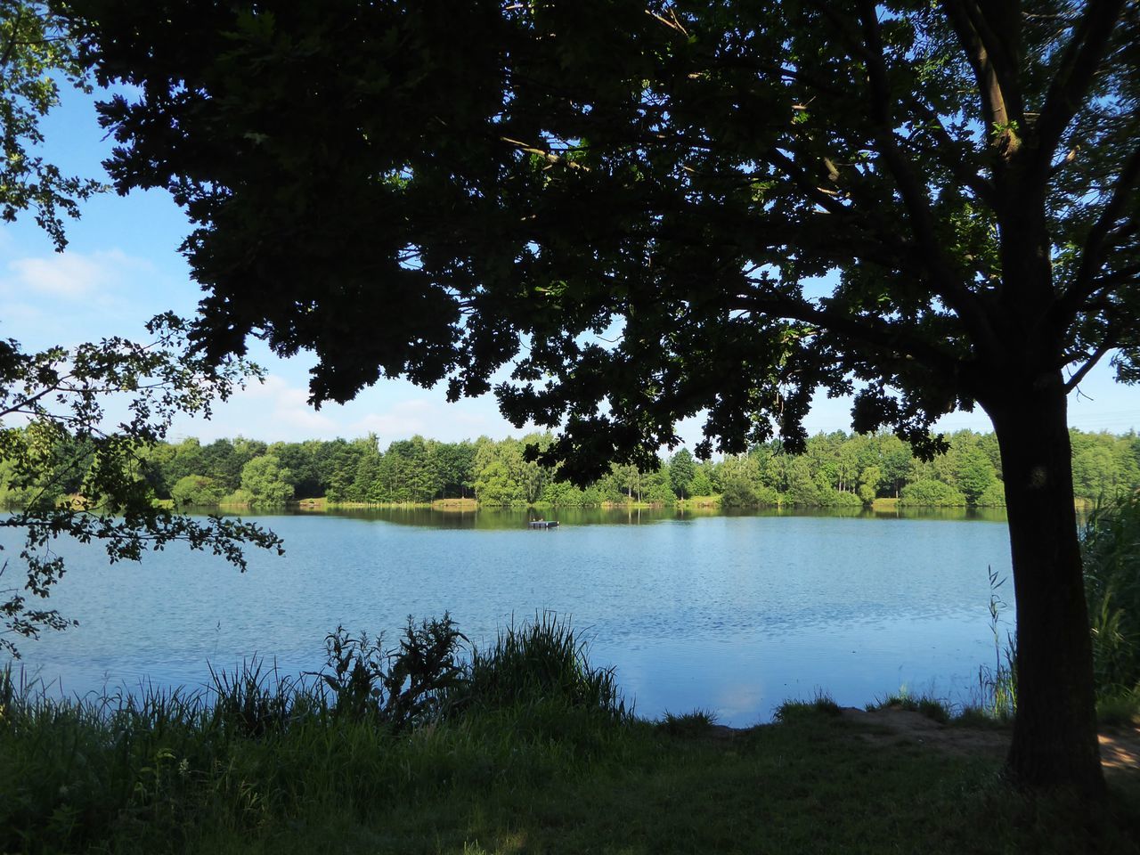 SCENIC VIEW OF LAKE AND TREES AGAINST SKY