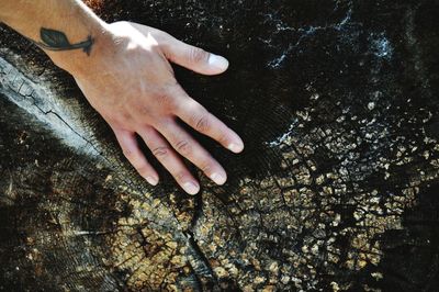 Cropped hand touching tree stump