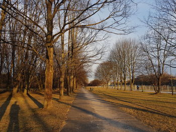 Road amidst bare trees on field against sky