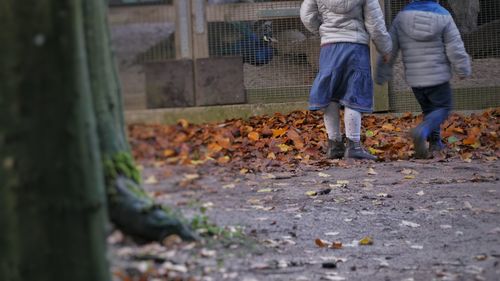 Low section of people standing on autumn leaves