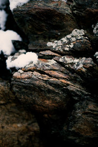 Close-up of rock formation