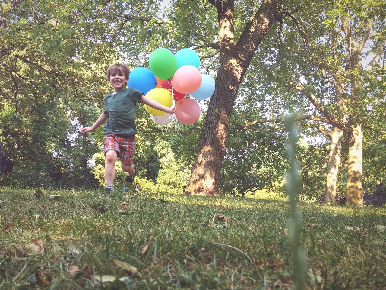 lifestyles, leisure activity, tree, rear view, full length, childhood, grass, casual clothing, men, boys, growth, green color, girls, walking, person, field, standing