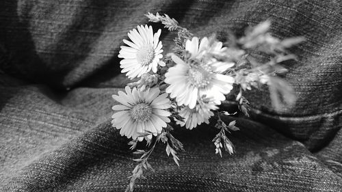 Close-up of flowers