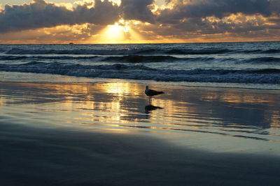 Scenic view of sea against sunset sky