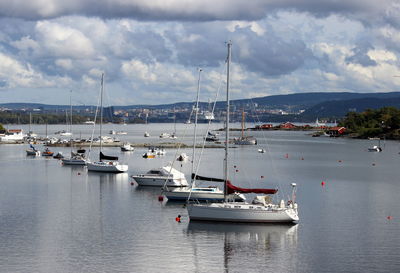 Sailboats moored at harbor against sky
