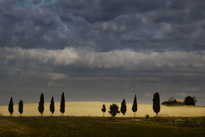 Scenic view of field against sky during sunset