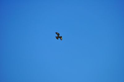 Low angle view of clear blue sky