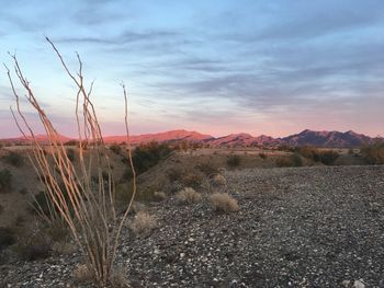 Scenic view of landscape against sky during sunset