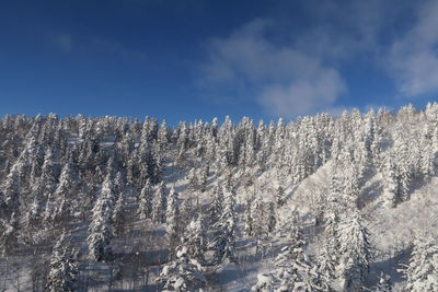 Scenic view of snowcapped mountains against blue sky