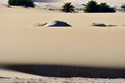 Scenic view of sand dune in desert