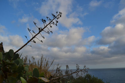 Scenic view of sea against cloudy sky