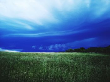 Scenic view of field against sky