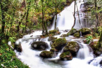 Stream flowing through rocks in forest