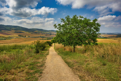 Dirt road amidst field against sky