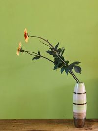 Close-up of flowers in vase on table against green wall