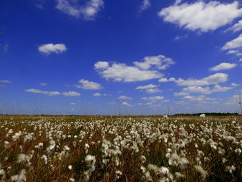 Scenic view of field against cloudy sky