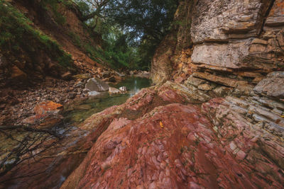 Rock formation amidst trees in forest