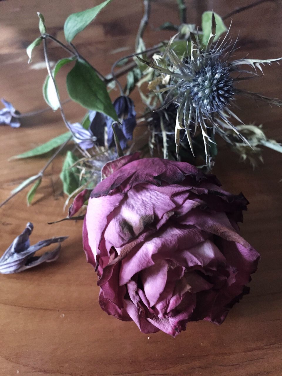 flower, close-up, fragility, petal, purple, indoors, freshness, still life, art and craft, decoration, no people, flower head, table, nature, art, creativity, day, vase, beauty in nature, pink color